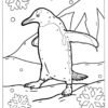 Penguin Coloring Pages